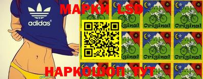 дживик Кимры