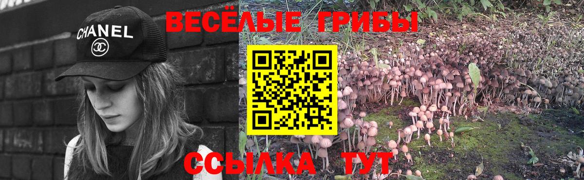 Псилоцибиновые грибы мицелий  Вход с VPN  Сердобск 