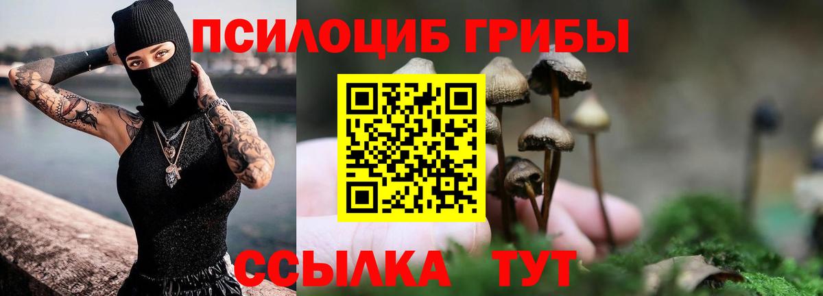Псилоцибиновые грибы Cubensis Сердобск
